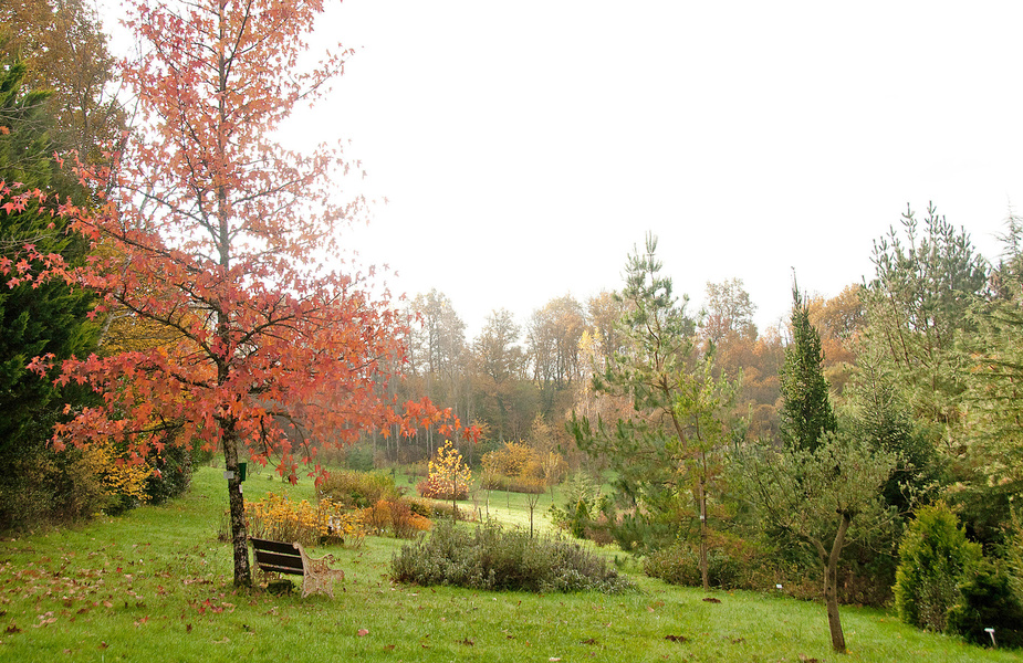 Arboretum de La Tuillière