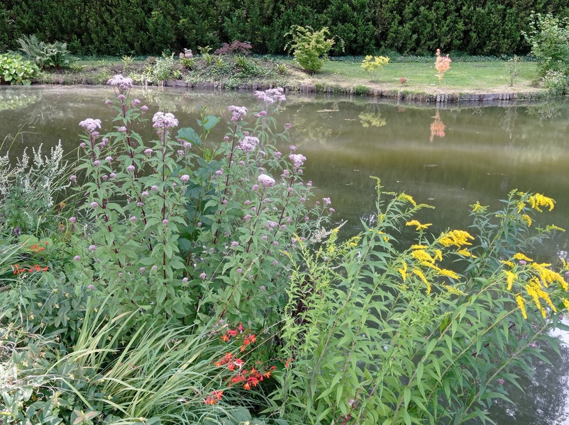 Le jardin au-delà de l'eau