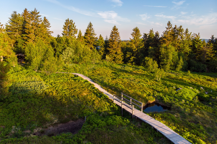 JARDIN D'ALTITUDE DU HAUT CHITELET
