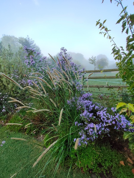 Jardin des sources