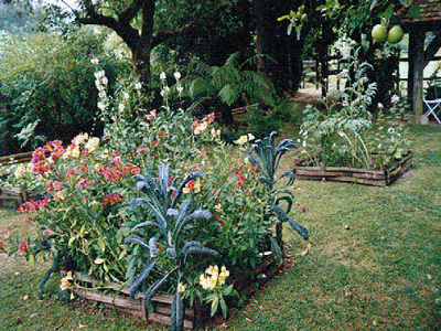 JARDIN DU PRIEURÉ DE LAVERRE