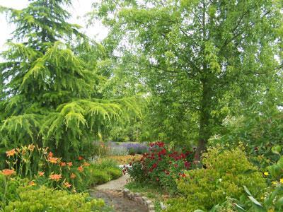 Arboretum du Val de Serre