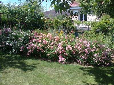 Jardin de Joselain