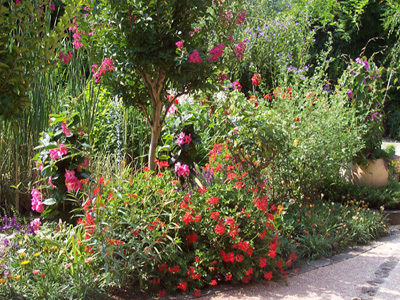 JARDIN DES FONTAINES PÉTRIFIANTES