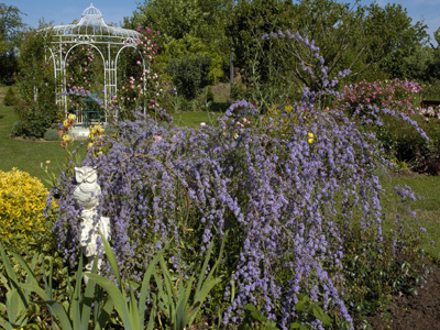 LE JARDIN DE LA CHRISTALINE