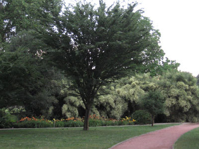 PARC DE LA TÊTE D'OR