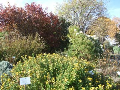 JARDIN BOTANIQUE DE LA VILLE DE CLERMONT-FERRAND