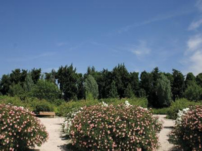 JARDIN DES QUATRE SAISONS