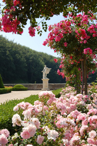 PARC ET ROSERAIE DU CHÂTEAU D'EU