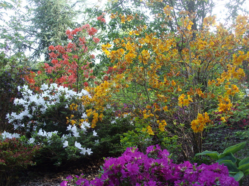 Un Jardin à Landrévarzec