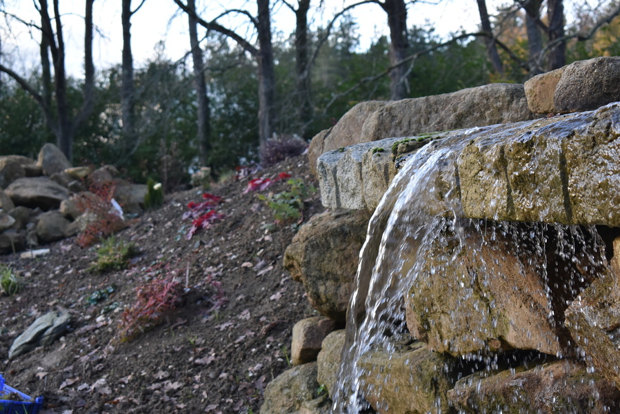 Parc du Château de la Droitière