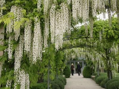 JARDIN DU MUSEE DES IMPRESSIONNISMES