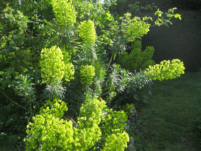 JARDIN SOUS LES CÔTES