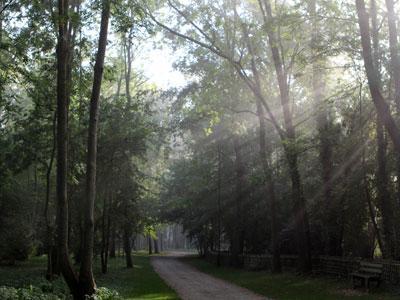 PARC DU MOULIN À TAN