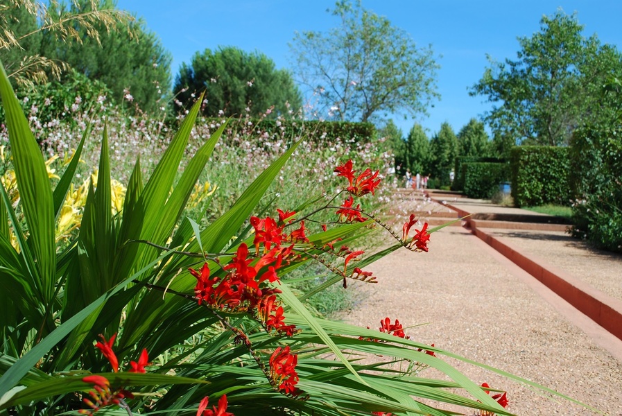 Les Jardins de Colette et son Labyrinthe