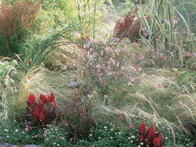 PARC FLORAL DE LA SOURCE