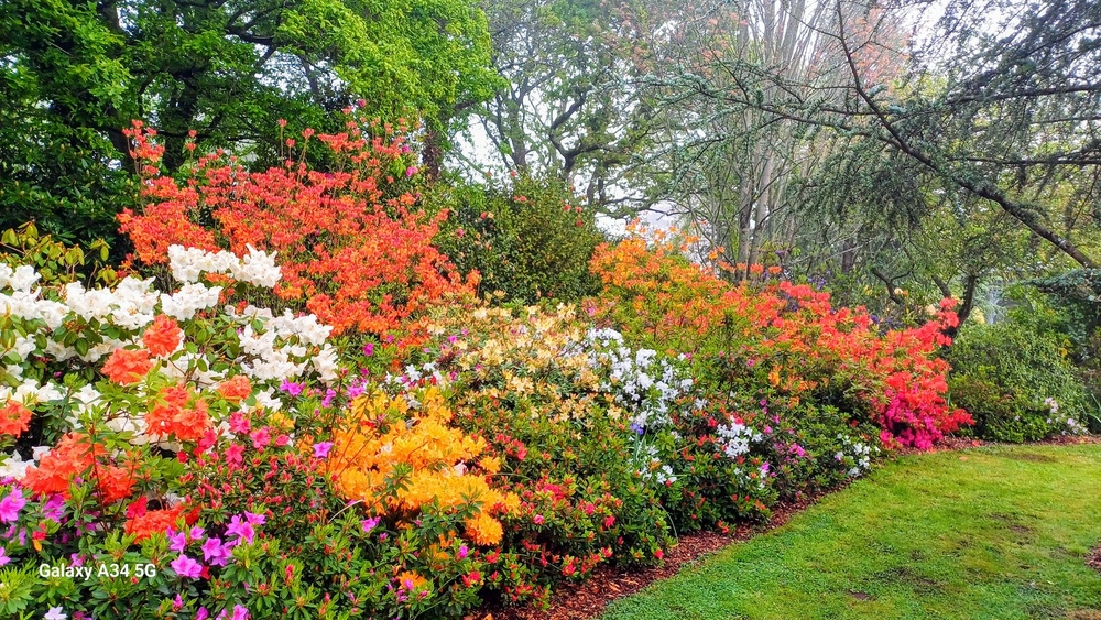 Un Jardin à Landrévarzec