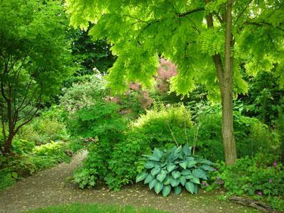 LE JARDIN DE MARGUERITE