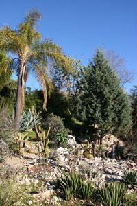 JARDIN BOTANIQUE DE NICE