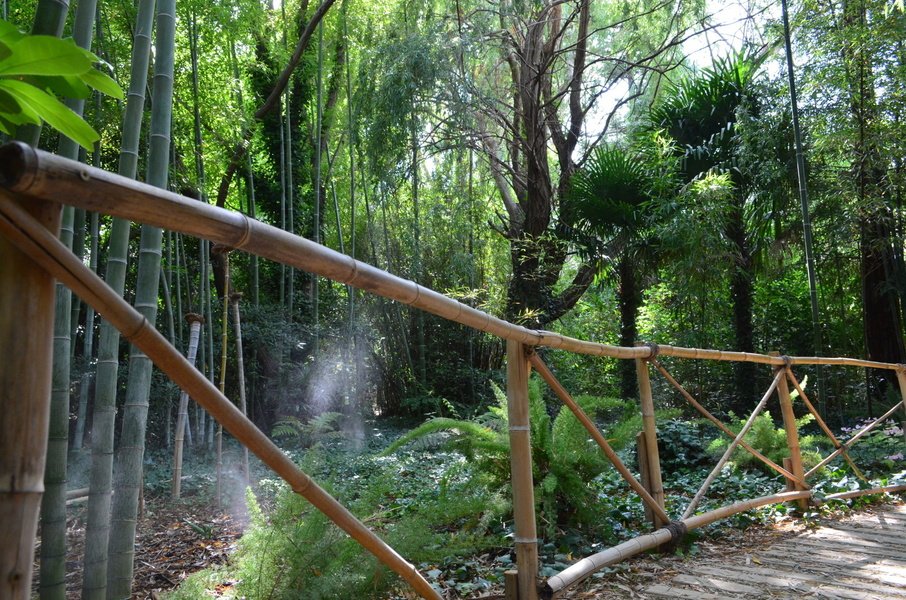 Le jardin exotique de Ponteilla