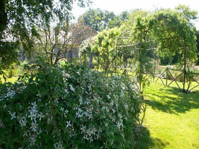 JARDIN DE LA GUYONNIÈRE