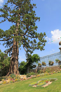 JARDIN DES PLANTES