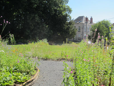 Jardin Botanique