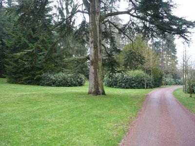 PARC LE VAULX SAINT GEORGES