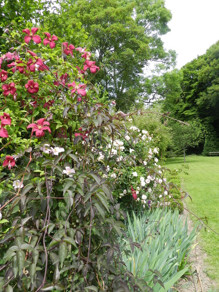 Jardin 'Les Charmes'