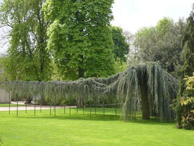 JARDIN DES PLANTES D'ORLÉANS