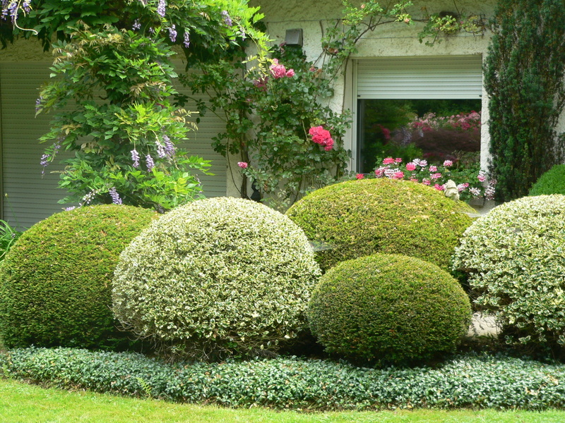 LE JARDIN DES SONGES