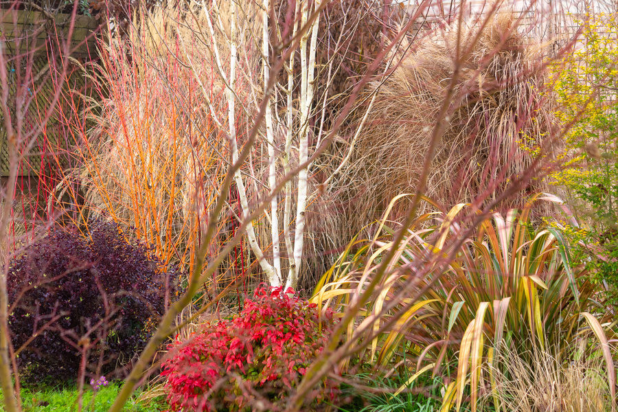 Jardin de Luchane