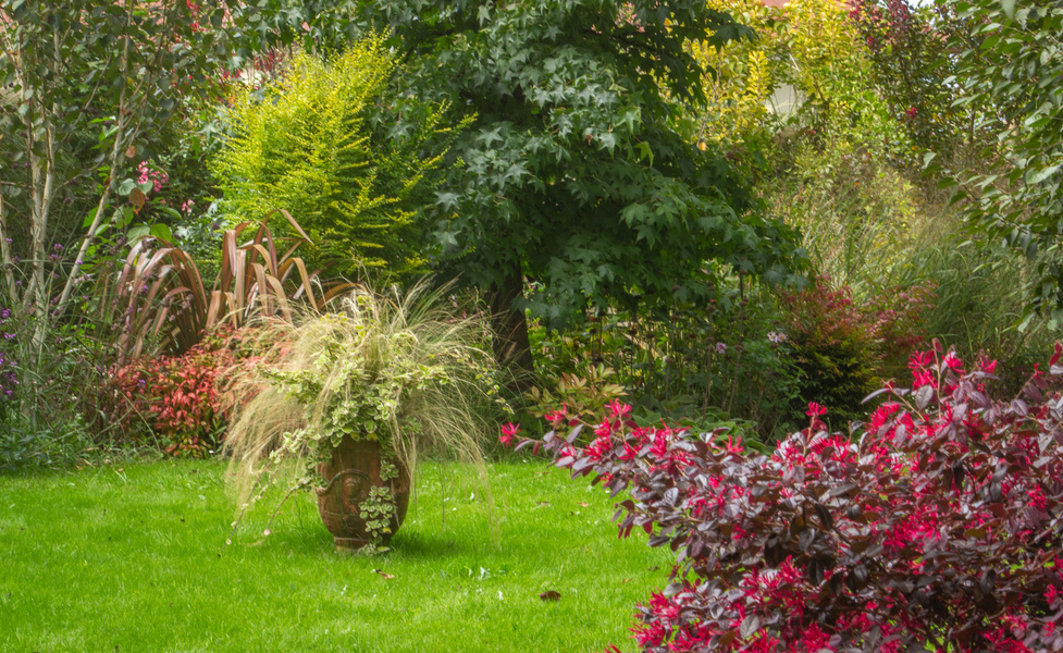 Jardin de Luchane