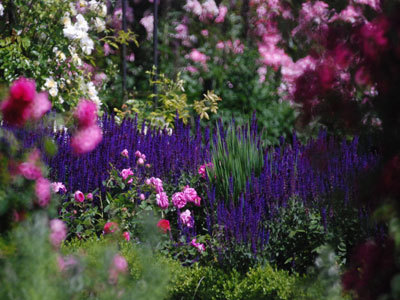 JARDINS DE L'ABBAYE ROYALE DE CHAALIS