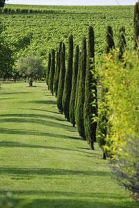 Les Jardins du Chaigne