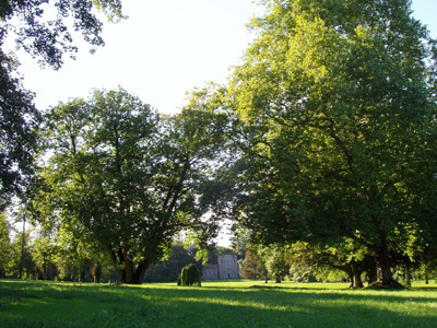 PARC ET JARDINS DU CHÂTEAU DE GERBÉVILLER