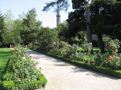 JARDIN DES PLANTES