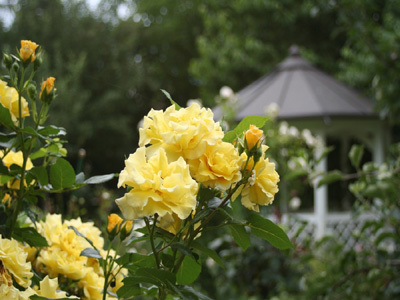 JARDIN DE GRANDS-MÈRES, EMPREINTE ET PATINE DES SIÈCLES