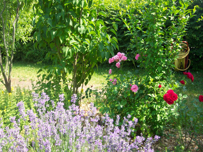 JARDIN SENSORIEL DU SITE DU NEUHOF