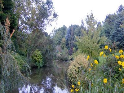 Jardin Flore et Sens