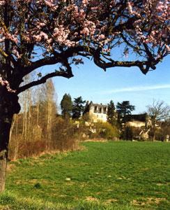 PARC DU CHÂTEAU DE MONTRÉSOR