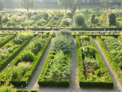 JARDIN DES PLANTES D'AMIENS