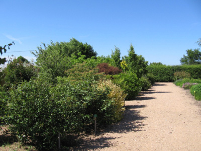 JARDINS DU DOMAINE DE LA CHAIZE