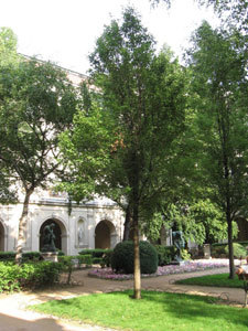 JARDIN DU PALAIS SAINT-PIERRE