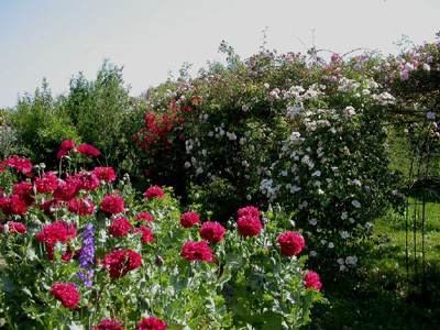 LE JARDIN D'EN GALINOU