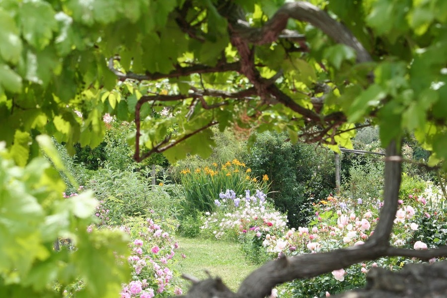 LES JARDINS DU MUSÉE INTERNATIONAL DE LA PARFUMERIE