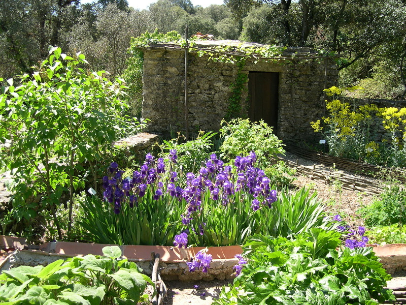 JARDINS ETHNOBOTANIQUES DE LA GARDIE