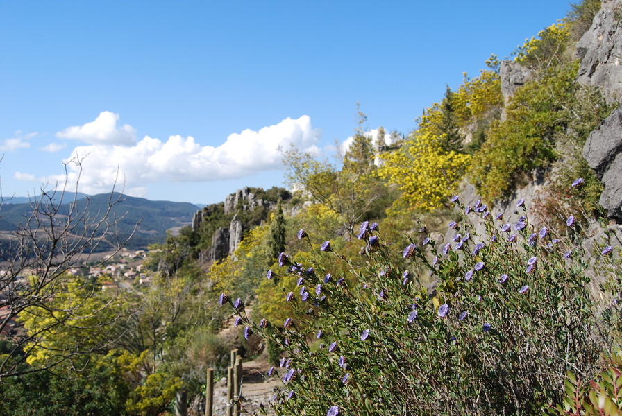 JARDIN MÉDITTERRANÉEN DE ROQUEBRUN