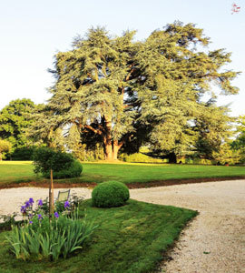 Château la Chardière