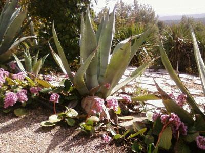 Le Jardin des 5 sens et des Formes premières